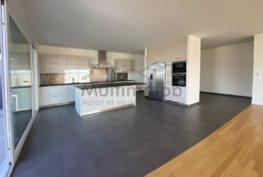 Moderne, spacieux et lumineux attique de 5.5 pièces